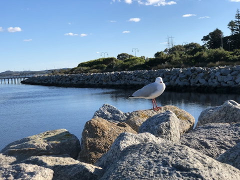 Albany Foreshore Guest House - Sydney Tourism 3