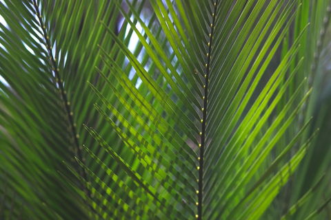 The Jackson Ranch - Sydney Tourism 2