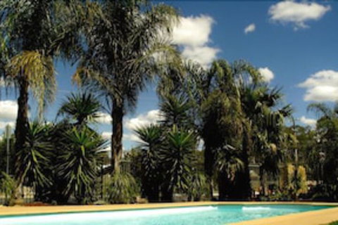 Echuca Motel - Sydney Tourism 0