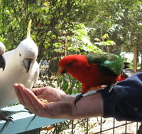 Lorne Bush House Cottages  Eco Retreats - Sydney Tourism