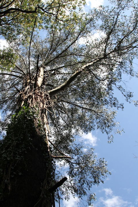 Gatehouse Cottage At Merrow Cottages - Mt Dandenong - Sydney Tourism 4