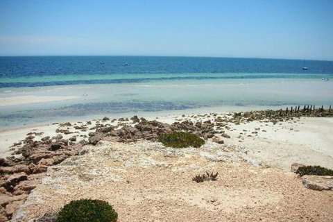 Amelia S Bed & Breakfast - Sydney Tourism 4