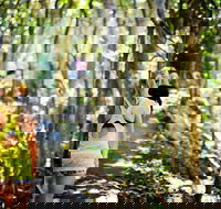 Cashelmara Beachfront Apartments