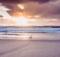 Blue Waters Motel - Sydney Tourism