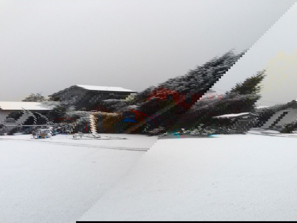 Promised Land TAS Sydney Tourism