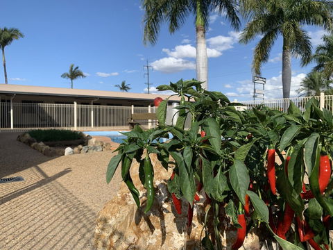 Silo Motor Inn - Sydney Tourism 6