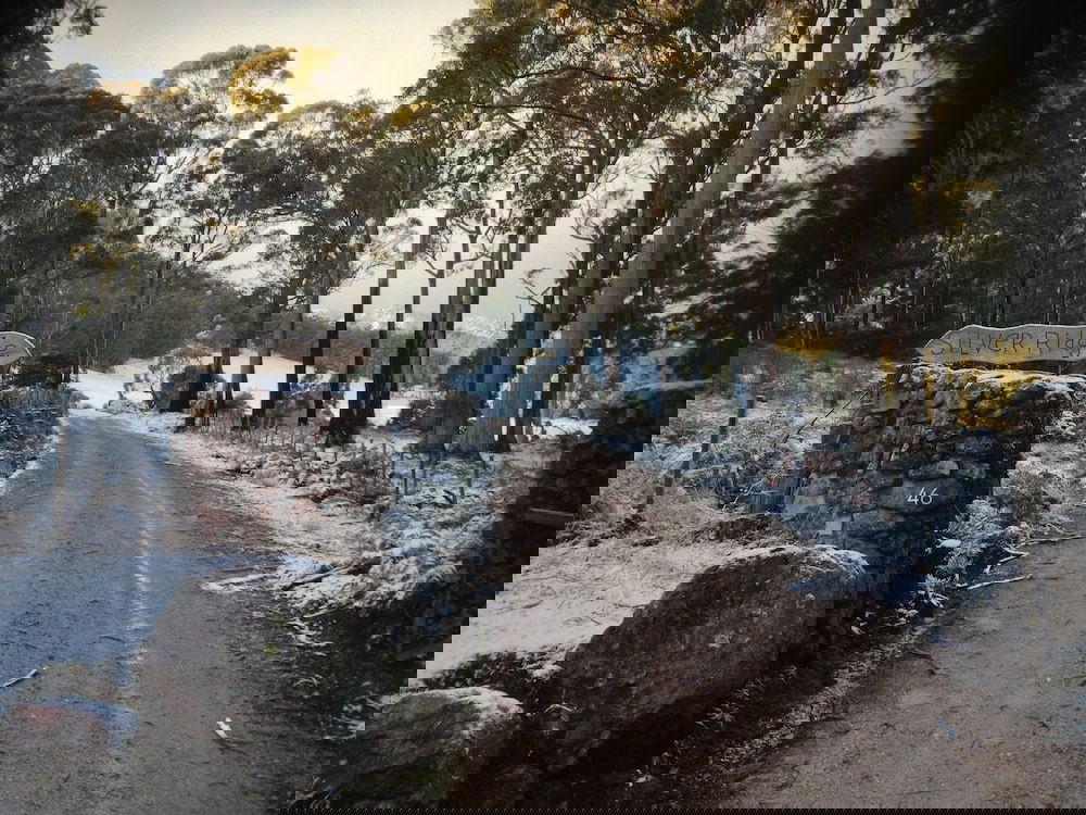 Claude Road TAS Sydney Tourism