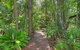 Montville Grove - thumb 0
