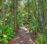 Montville Grove - Sydney Tourism