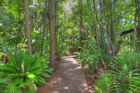 Montville Grove - Sydney Tourism 0
