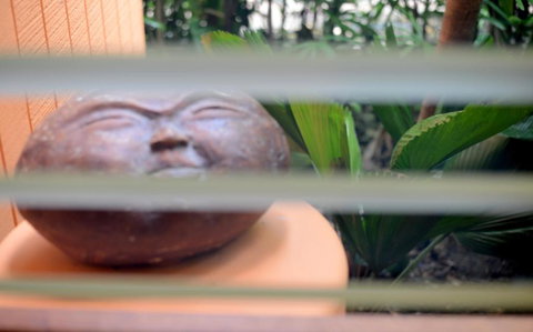 Sejala Beach Huts - Sydney Tourism 6