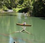 Figtree Getaway - Sydney Tourism