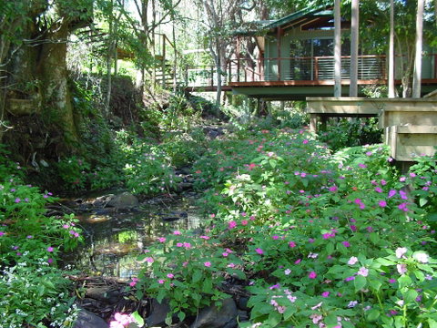 Treetops Accommodation Montville - Sydney Tourism 4