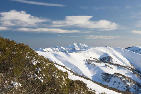 Absollut - Sydney Tourism 5