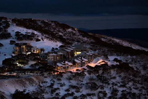 Absollut - Sydney Tourism 1