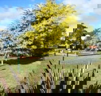 Bairnsdale Main Motel - Sydney Tourism