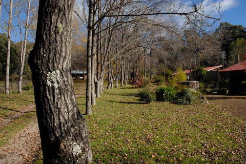 Birdwing Bed & Breakfast Weegena - Sydney Tourism 2