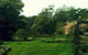 Birdwing Bed & Breakfast Weegena - thumb 0