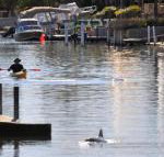 Sunsea Waterfront South Yunderup - Sydney Tourism