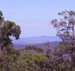 Ravensbourne Escape Cedar Lodge - Sydney Tourism