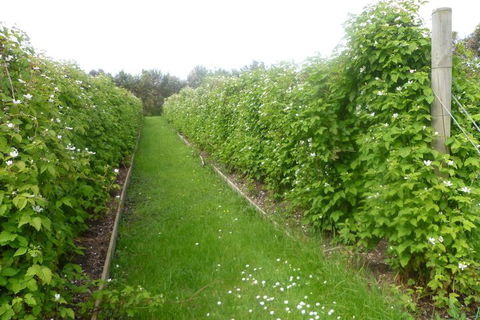 Karingal Homestead B & B - Sydney Tourism 4