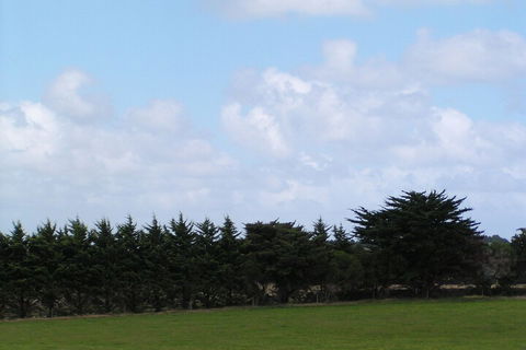 Karingal Homestead B & B - Sydney Tourism 5