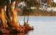 NRMA Myall Shores Holiday Park - thumb 2