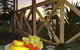 Brighton Caravan Park - thumb 2
