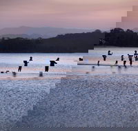 Tallebudgera Creek Tourist Park - Sydney Tourism