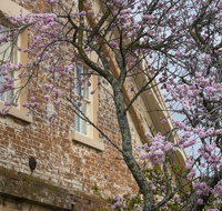 The Racecourse Inn - Sydney Tourism