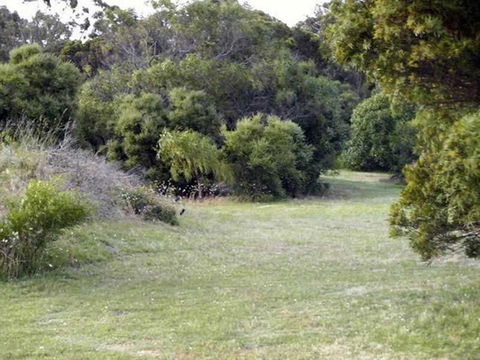 Absolute Waterfront Cottage - Sydney Tourism 3