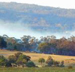 Candlebark Retreat - Sydney Tourism