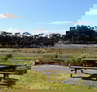 Pelican Point Sanctuary