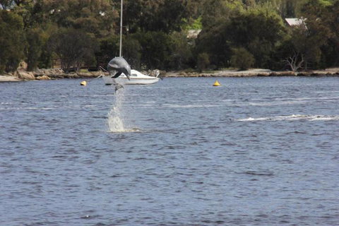 Tani Hill - Sydney Tourism 1