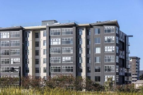 Oaks Brisbane Woolloongabba Suites - Sydney Tourism 3