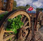 Bellum Hotel - Sydney Tourism