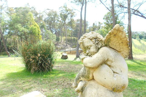 Countryside Connections Tranquil Studio - Sydney Tourism 4