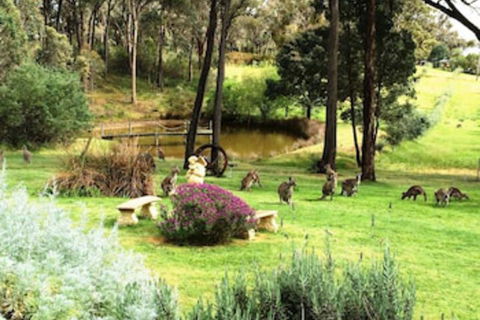Countryside Connections Tranquil Studio - Sydney Tourism 0
