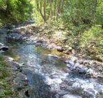 Tallaringa Views - Sydney Tourism