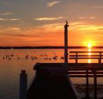 Bayview Boathouse - Sydney Tourism