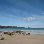 Sisters Beach House - Sydney Tourism 0