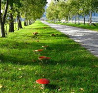 Plovers Ridge Country Retreat