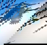 Tenterfield Cottage Holiday House