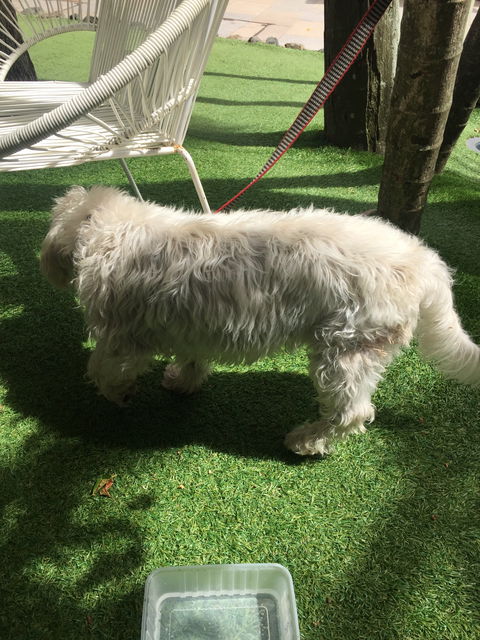 Rococo - Sydney Tourism 6