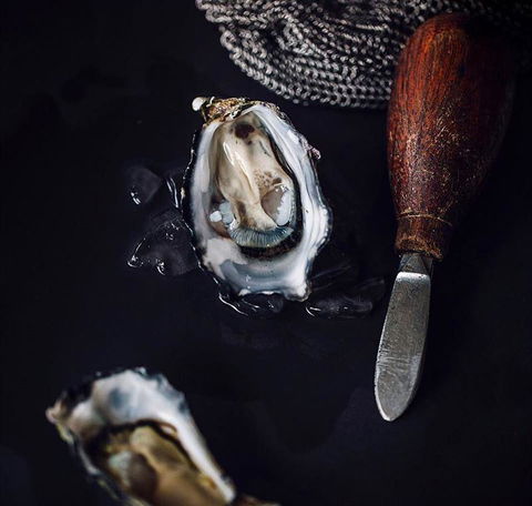 Shuck - Sydney Tourism 4