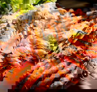 Table 30 - Sydney Tourism