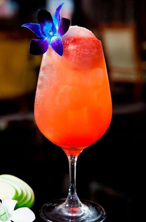 Terra Rossa Restaurant & Bar - Sydney Tourism 12