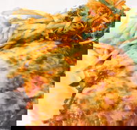 The Water Rat Hotel - Sydney Tourism