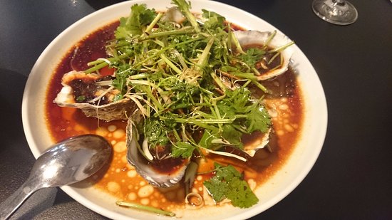 Adelaide City SA Sydney Tourism