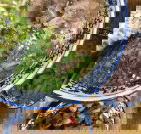 Lanzhou Beef Noodle Bar - Sydney Tourism